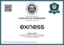 What is Exness A Comprehensive Guide to This Leading Forex Broker