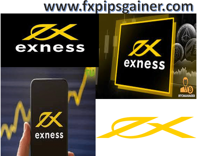 What is Exness A Comprehensive Guide to This Leading Forex Broker